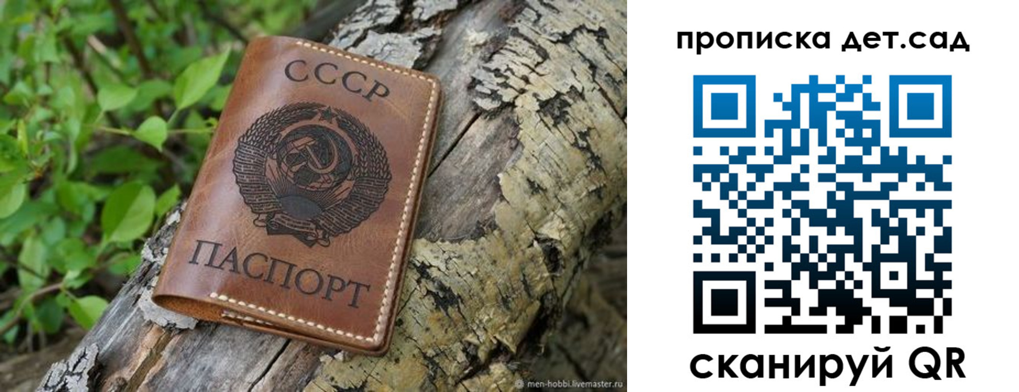 прописка иностранных граждан в Елизово